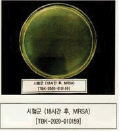 MRSA 처리 후